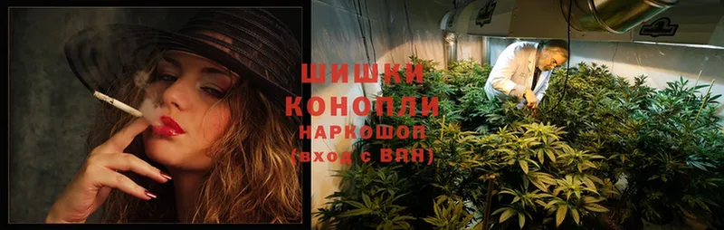 Бошки марихуана SATIVA & INDICA  Лесосибирск 